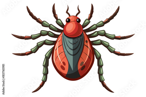 High-quality illustration of a tick insect with realistic detail and color. This vector graphic shows the tick’s body structure, legs, and texture, perfect for educational, scientific, and medical pur