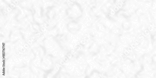 White topography topology vector white background fresh contour map texture. white seamless pattern Abstract background with a wave Topography and geography map grid abstract backdrop.