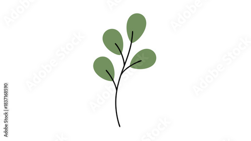 Simple Vector Illustration of Green Eucalyptus Leaves on a Black Background Isolated Object