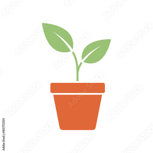 Plant in a Pot A Symbol of Growth and Nurturing.