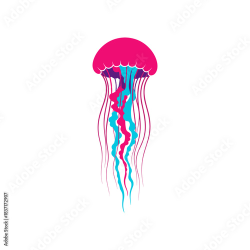 Vibrant Pink and Blue Jellyfish Illustration.