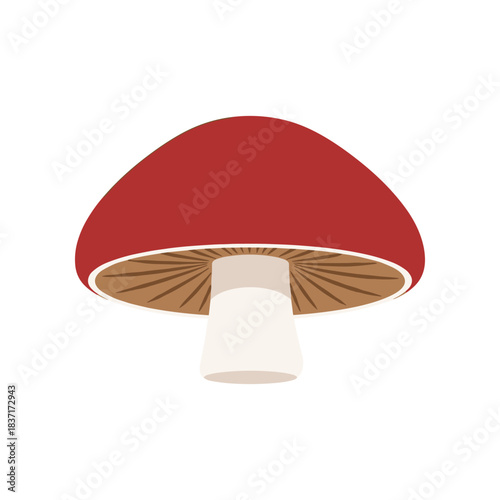 Vibrant Red Mushroom with White Stem and Brown Gills on a White Background.