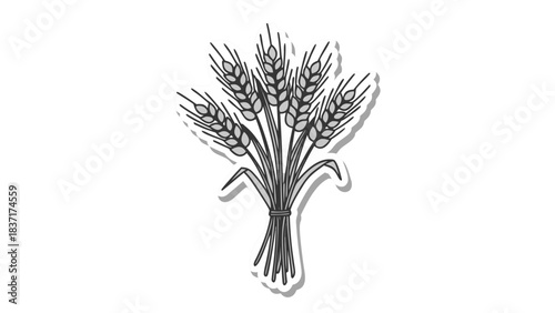 Stylized Black and White Illustration of a Sheaf of Wheat Ears Tied Together on a Transparent Background