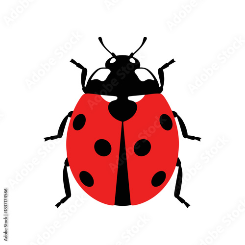 A simple red ladybug with black spots and a black head.