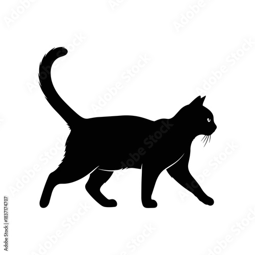 Black Cat Silhouette Walking Gracefully with Tail Up.