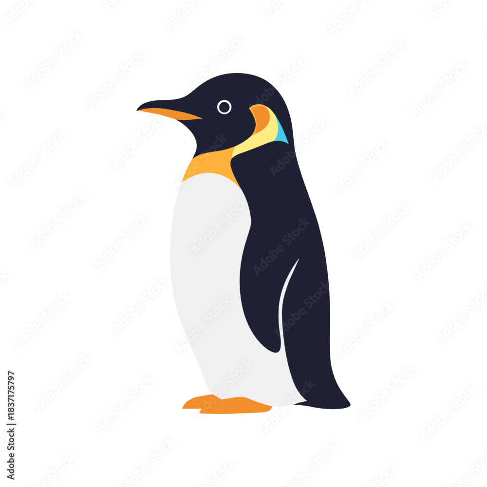 Fototapeta premium Emperor Penguin Standing Tall Isolated on White Background.