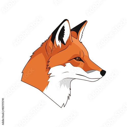 Detailed illustration of a fox head with sharp features and alert eyes.