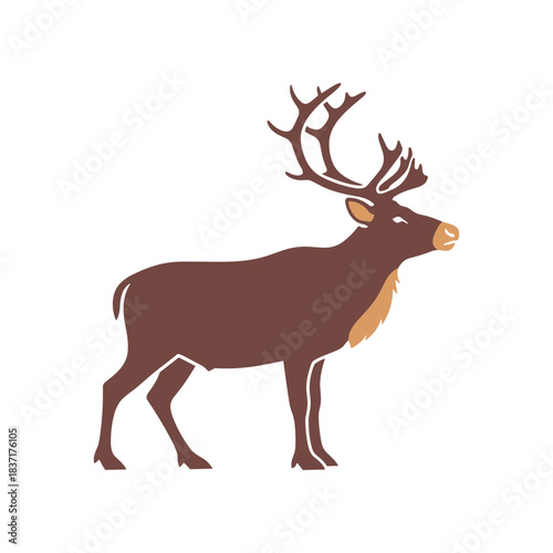 Majestic Reindeer Standing Proudly with Antlers.