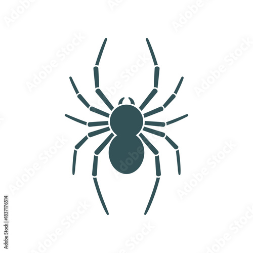 Simple black spider silhouette on a white background top view.