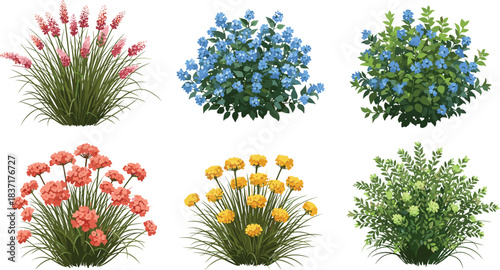 Collection of colorful flowering garden plants and decorative shrubs vector illustration set, including pink, blue, orange, and yellow bushes, isolated on white background