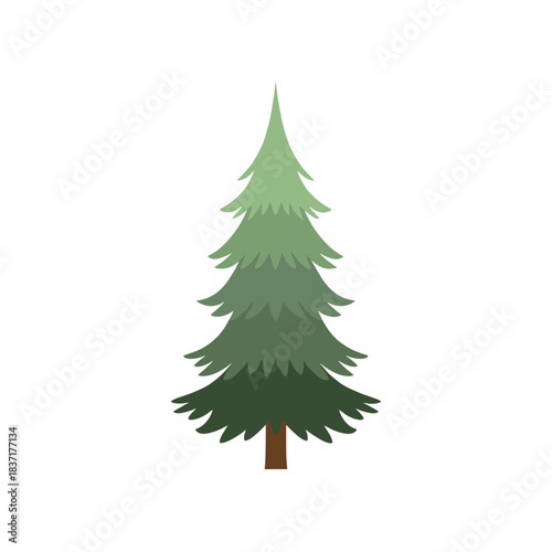 Stylized Evergreen Tree Illustration with Brown Trunk and Green Foliage.