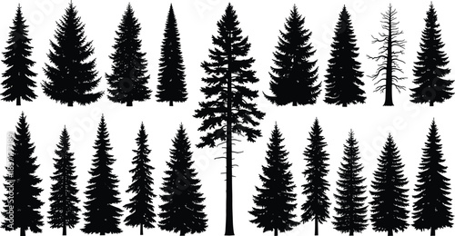 Coniferous tree silhouette collection with diverse shapes and foliage styles, ideal for botanical, forestry, or nature-themed vector illustration content