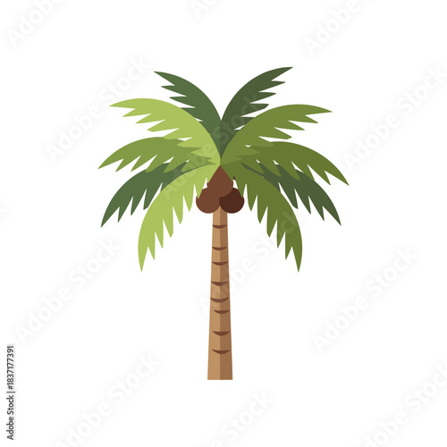 Tropical Coconut Palm Tree with Green Fronds and Brown Coconuts.