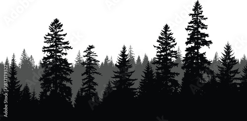 Layered coniferous forest silhouette in black and gray tones, ideal for nature, depth, or landscape-themed vector illustration