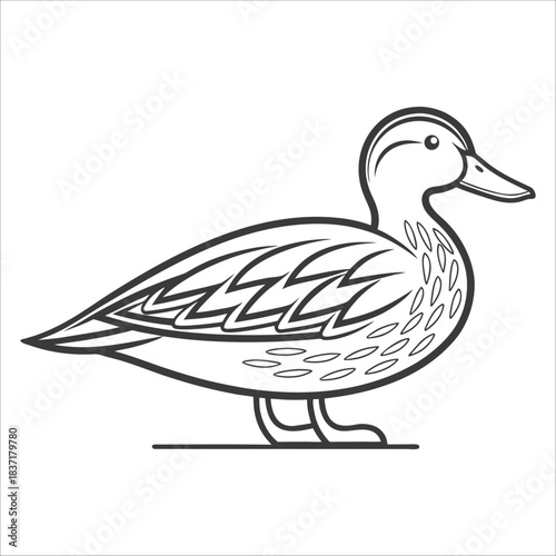 Animals Vector, Cow, Bee, Colibri, Moose, Butterfly, Chicken, Duck, Fox, Funny Horse, Giraffe, Guinea, Rabbit, Safari, Sketch, Tiger, Vector, Animal, Animals Vector Art, Art, Forest Animals Vector, An