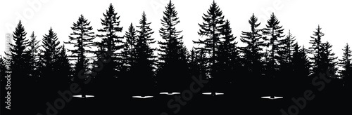 Silhouette of dense coniferous forest with snowy ground, ideal for winter, nature, or environmental vector illustration content