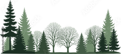 Stylized forest with coniferous and leafless deciduous trees in winter tones, ideal for seasonal or biodiversity-themed vector illustration