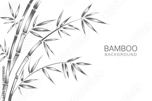 Hand drawn bamboo forest background illustration featuring delicate botanical line art, natural greenery textures, serene Asian inspired scenery perfect for decorative prints, nature themed designs, a