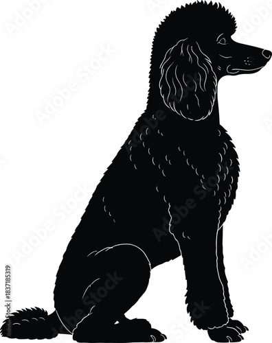 Poodle silhouette side view, black vector illustration, curly fur detail, pet dog design, elegant posture, animal art, grooming style, canine breed