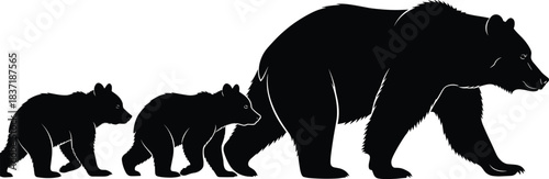 Bear family silhouette vector illustration, walking wildlife scene, parent and cubs, nature symbol, CAD drawing flat vector illustration, animal hierarchy concept