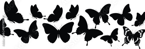 Butterfly Silhouette Set Vector Collection of Different Species, Flying Insects and Moths Black Graphic Design Elements for Nature and Beauty Content