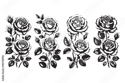 Detailed black rose illustration set featuring elegant blooming roses leaves and buds in bold floral artwork