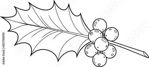 Simple black and white line art of a holly leaf with sharp points and a cluster of round berries, ideal for Christmas coloring books and holiday designs. (22 words)