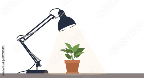 A modern desk lamp providing artificial light for a small green houseplant in a pot symbolizing growth and care.