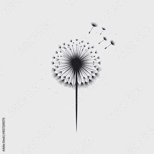Dandelion flower with flying seeds on a light gray background