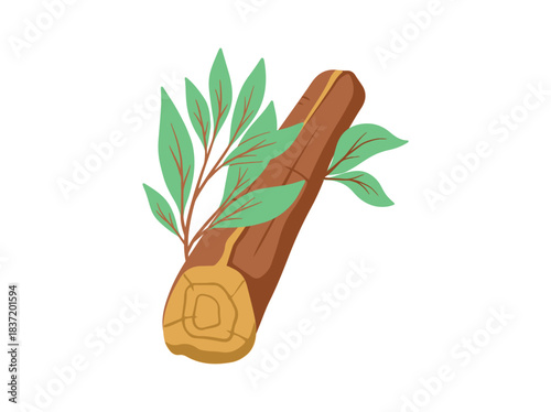 Bonfire Wood with Leaf for Camping
