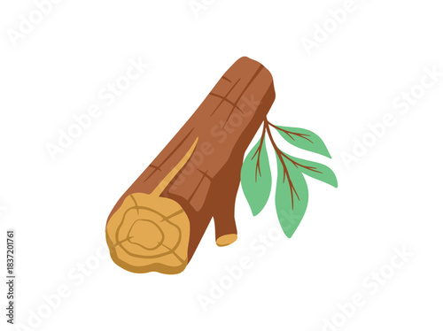 Bonfire Wood with Leaf for Camping
