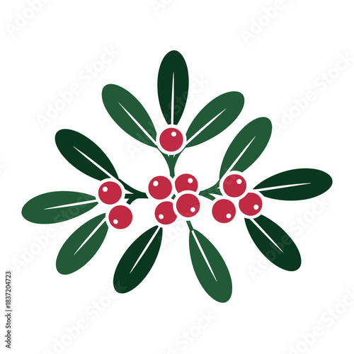 A sprig of mistletoe with red berries and green leaves represents a holiday tradition.