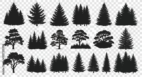 Collection of Silhouette Trees Evergreen and Deciduous Styles for Nature Scenes and Forest Designs Vector