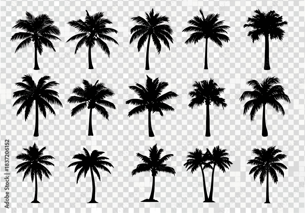 Fototapeta premium Collection of Silhouette Palm Trees Various Types and Styles Realistic Vector Illustrations for Tropical Designs