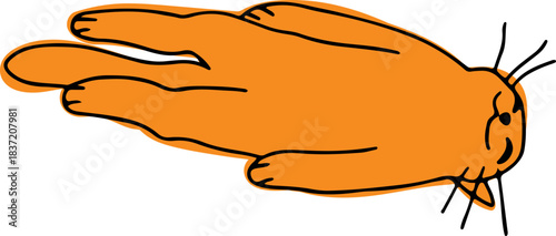 A funny cute ginger cat smiles and lies on its back stretched out, drawn with crooked grunge lines