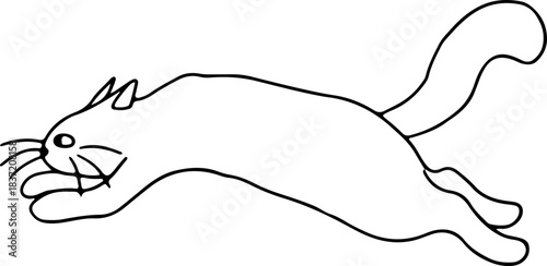 A cute cat jumps stretched out to its full height, side view, drawn with crooked grunge lines