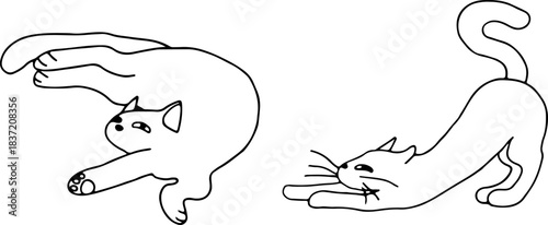 Two funny cats, a strangely lying, stretching cat, side view, drawn with crooked grunge lines