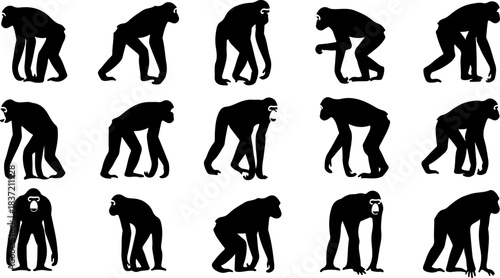 “Monkey Silhouette Collection”