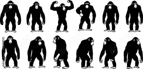 “Monkey Silhouette Collection”