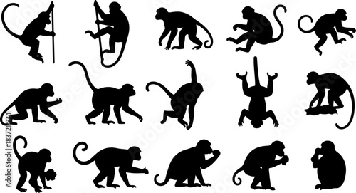 “Monkey Silhouette Collection”