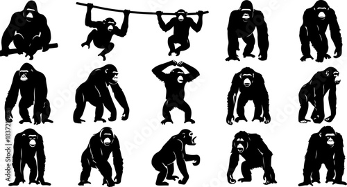 “Monkey Silhouette Collection”