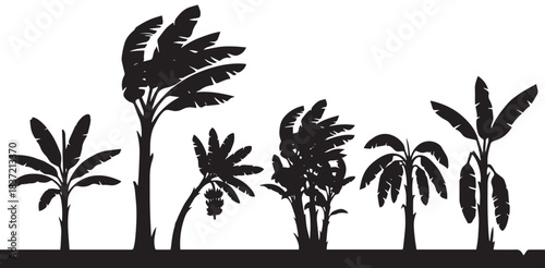 Silhouettes of various tropical trees, including banana and palm trees, some appearing to be swaying in the wind, against a white background.