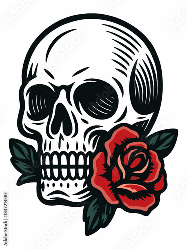 Vector illustration of a human skull with red roses
