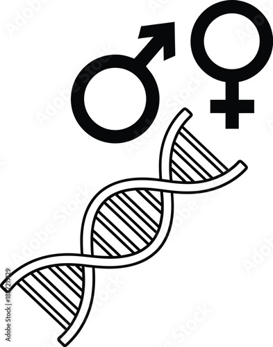 Genetic identity concept with dna double helix and male and female gender symbols representing human biological differentiation