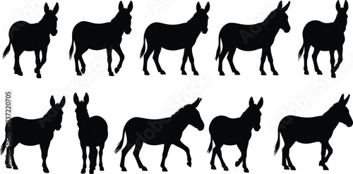 Donkey silhouette icon set, animal posture and wildlife shape collection, nature graphics, cad drawing flat vector illustration
