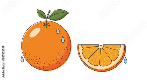 Fresh cartoon illustration of a whole juicy orange and a perfect slice, both with water droplets, isolated on a white background for a vibrant design.