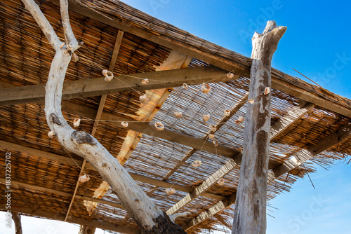 Sea decoration with sea conch shells under a thatched roof of a wooden sunshade construction on a beach on the Bulgarian Black Sea Coast