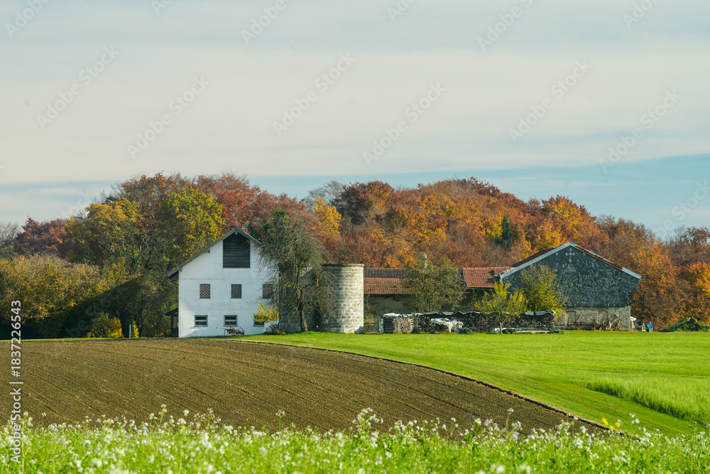 Obraz premium Herbst mit Bäumen und Feldern in Bayern und Bauernhof