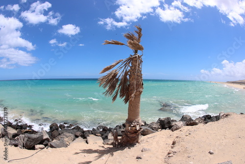 Fuerteventura