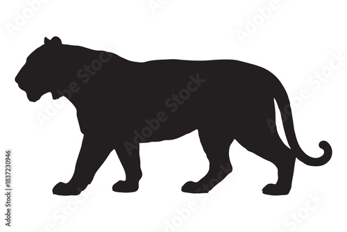  Powerful black silhouette of a majestic tiger walking silhouette